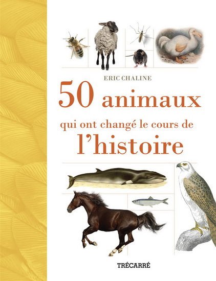 50 animaux qui ont changé le cours de l'histoire, TRÉCARRÉ 9782895686118