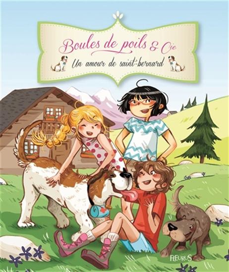 Boules de poils & cie: Un amour de saint-bernard FLEURUS 9782215124993