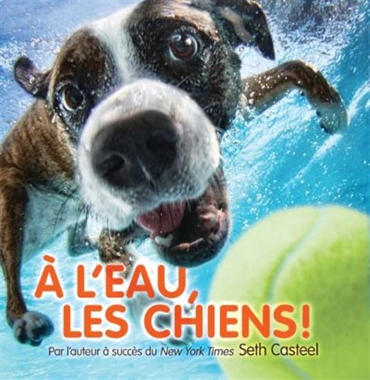CASTEEL, Seth : À l'eau, les chiens! SCHOLASTIC 9781443136051