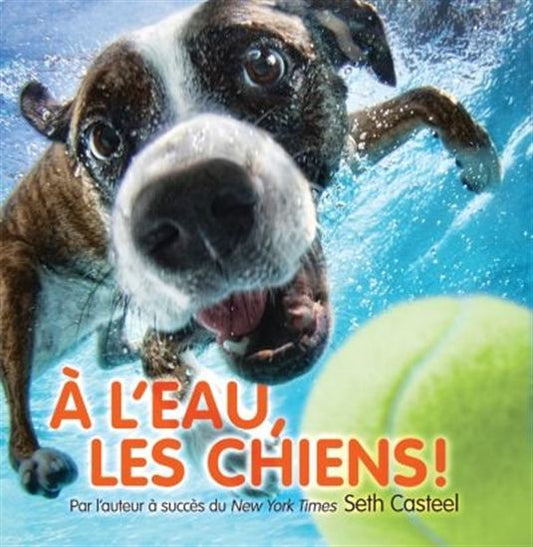 CASTEEL, Seth : À l'eau, les chiens! SCHOLASTIC 9781443136051