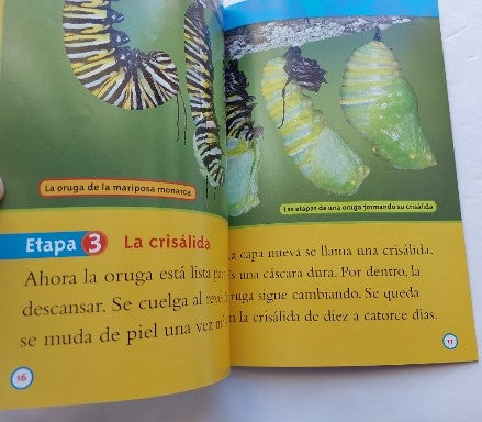 MARSH, Laura De la Oruga a la Mariposa N1 National Geo Kids SCHOLASTIC 9781426324840