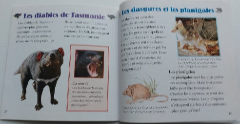 KALMAN JOHNSON : Les Koalas et autres marsupiaux, Mini monde vivant BAYARD 9782895793205