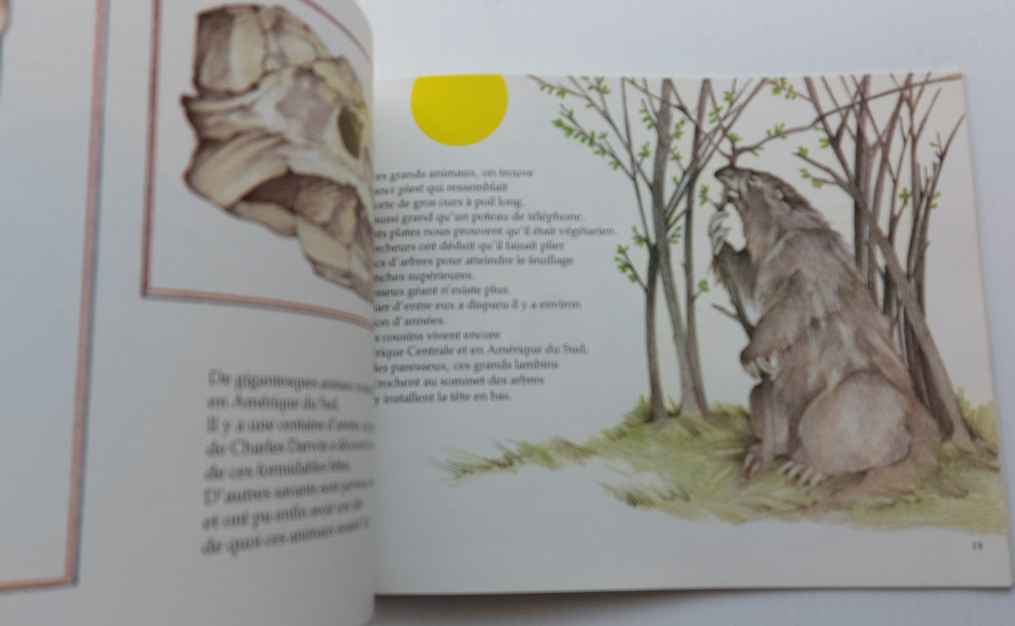 BAILEY KASSIAN : S.O.S. Les animaux des cours d'eau et des mers, SCHOLASTIC 9780590730679