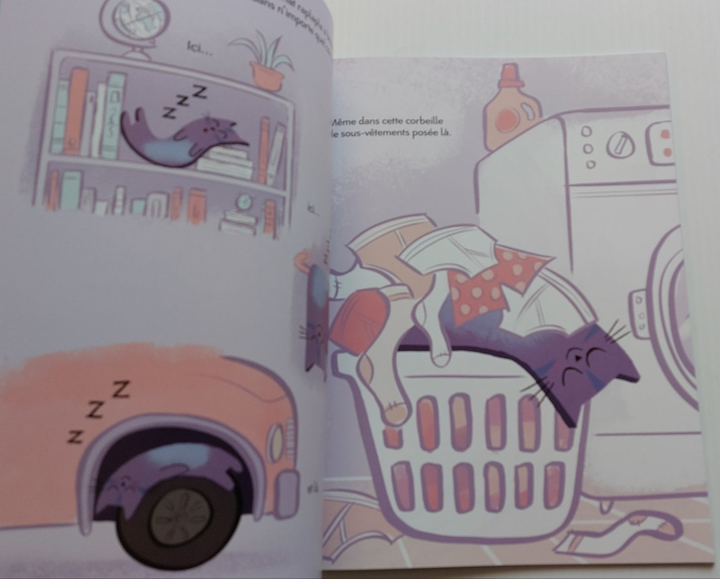LAZAR OSWALD : Le chat raplapla SCHOLASTIC 9781039705517