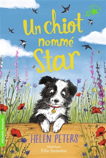 PETERS, Helen : Jasmine l'apprentie vétérinaire T2 Un chiot nommé Star GALLIMARD 9782075102193