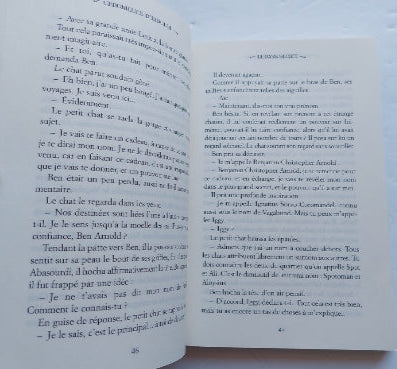 Johnson, Jane : Chroniques d'Eidolon T1 Le pays secret SEUIL 9782020930345