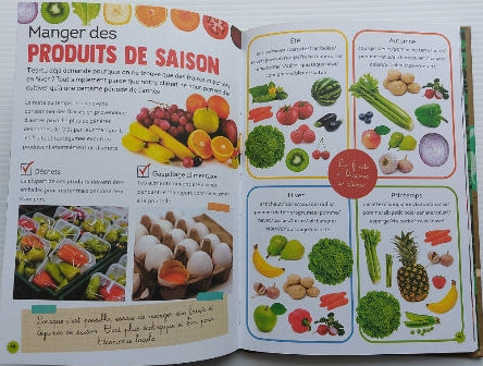 100 idées écolos pour aider la planète, PETITS GÉNIES 9781773881270