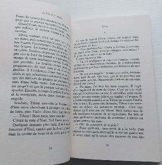GRUBER, Michael : Le Fils de la sorcière POCKET 9782266149808
