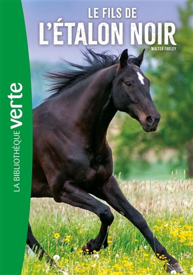 FARLEY, W : T4 Le fils de l'étalon noir BIBLI VERTE 9782017132073