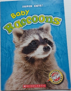 Super Cute! Baby Raccoons, Blastoff! Readers SCHOLASTIC 9781338223316