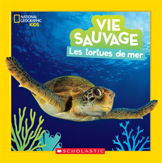 National Geographic Kids : Vie sauvage, les tortues de mer SCHOLASTIC 9781443197779