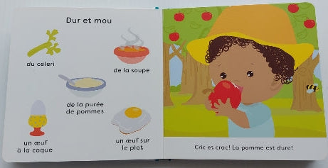 Les bébés Loulous présentent... Bonjour les contraires! MÉGA 9782898070471