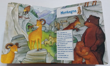 La libreria dei piccoli : Evviva gli animali!, EdiBimbi 9788855605090