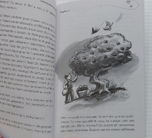 GAGNON,Thérèse : La tourterelle et l'hirondelle NKS 9782981254696