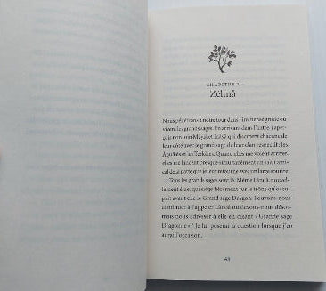 DEGONSE, Sarah : Ania T2 La Pierre d'oxak FIDES 9782762145168