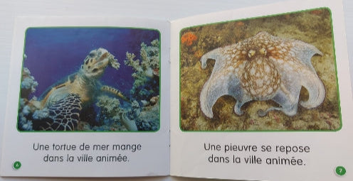 Je lis! Sciences, Le récif de corail, Niveau C, SCHOLASTIC 9781443120920