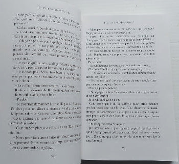 MARTIN, Ann M : Le club des Baby-Sitters T5 Quelle famille! GALLIMARD 9782070575374