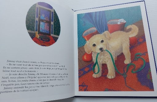 HARRIS WALTERS Le Noël de Jimmy HÉRITAGE 9782762579413
