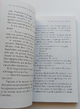 DAVIDTS, J-P : Les mystères d'Ariane T1 Le monstre de Saint-Pacôme BORÉAL 9782890528093