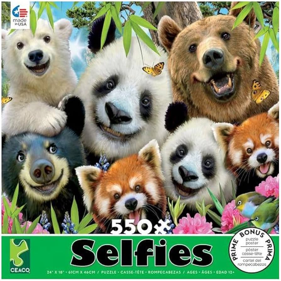 ROBINSON, Howard Selfies CEACO 42323 Casse-tête 550 morceaux