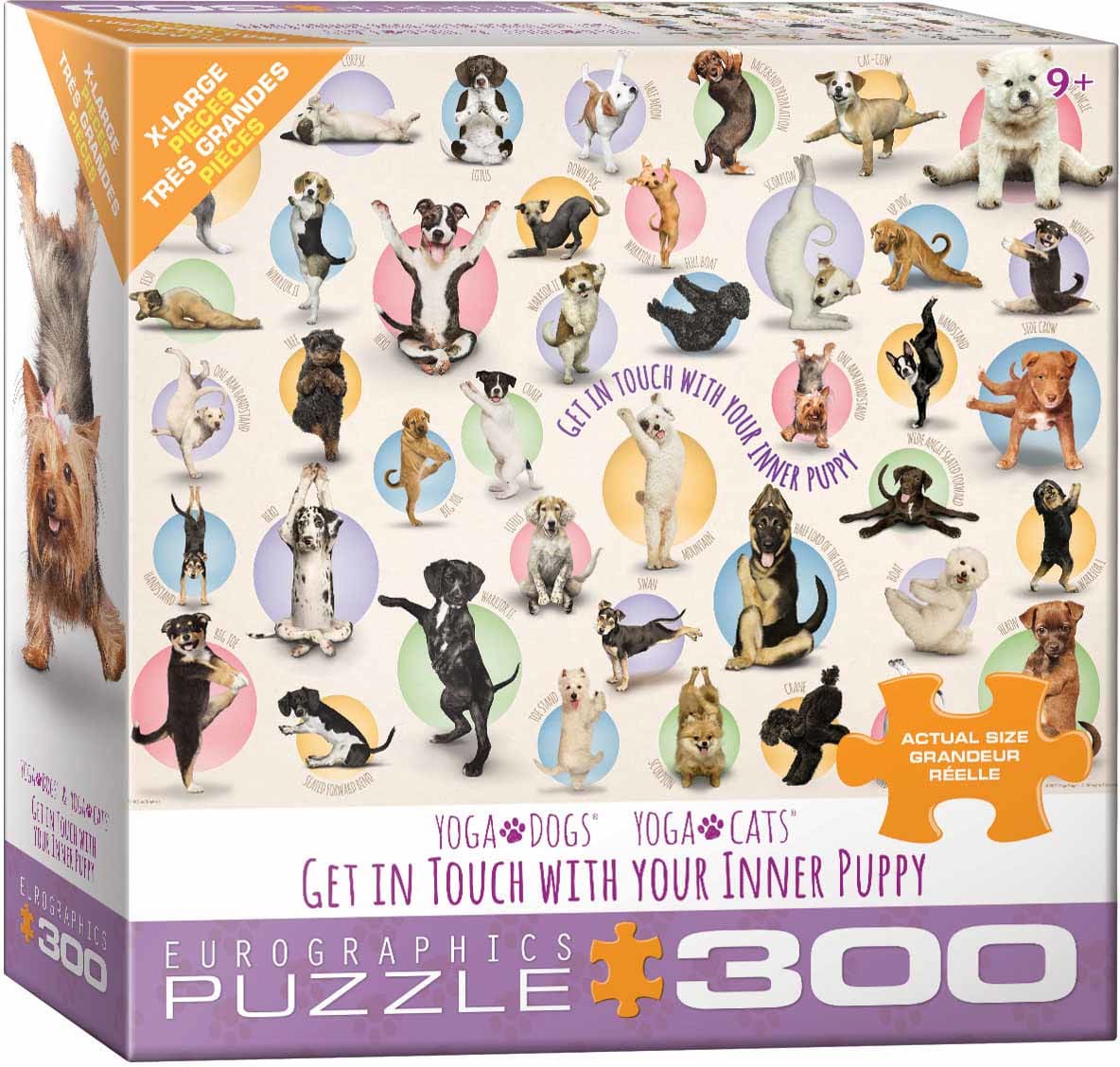 Yoga Puppies Eurographics 8300-0992  Casse-tête 300 morceaux