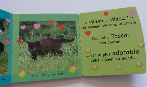 Un livre cache-cache avec une surprise, Qui est le plus adorable du monde? OLALA 9789088460500