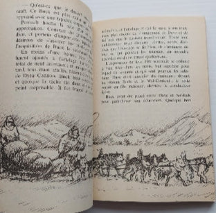 BRISOU-PELLEN, Evelyne : L'Hiver des loups GALLIMARD, Folio junior 9782070518999