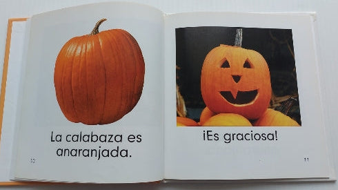 GORDON, Sharon : Los colores El Anaranjado / El rojo BOOK WORMS 9780761428602 9780761428626