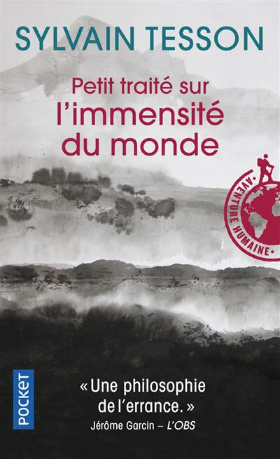 TESSON, Sylvain : Petit traité sur l'immensité du monde POCKET 9782266167598