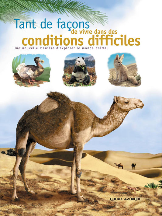 Tant de façons de vivre dans des conditions difficiles, QC AMÉRIQUE 9782890379770
