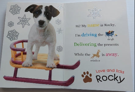 12 Dogs for Christmas PRIDDY BOOKS 9780312504793