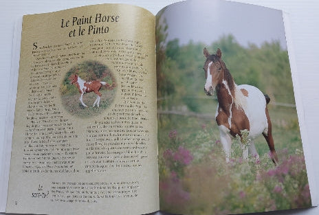 BRIGGS HAMILTON Chevaux à l'affiche SCHOLASTIC 9780590515177
