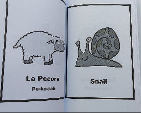 4 books in 1 - English to Italian, Flashcard Books BLACK & WHITE 9781973737940