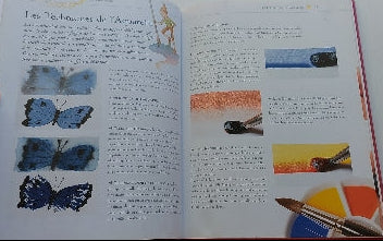 Peindre le monde des fées à l'aquarelle OUEST-FRANCE 9782737336652