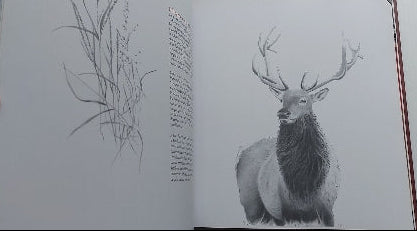 BOUCHARD, Serge : Confessions animales: bestiaire II + CD PASSAGE 9782922892338