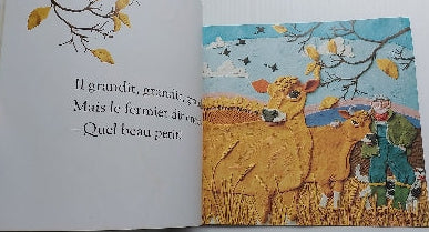 DUCHESNE REID : Quel beau petit ! SCHOLASTIC 9781443157452