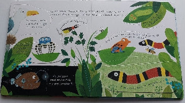 Mes premières questions : Comment les animaux se parlent-ils ? USBORNE 9781474951746