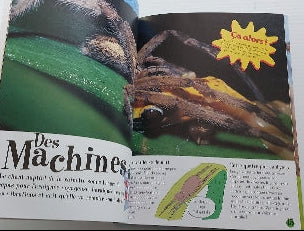 Absolument renversant! : Les Araignées, PRESSES D'OR 9781552252024