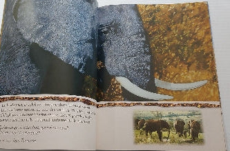 LONDON MORIN : Qu'attendez-vous, les animaux? SCHOLASTIC 9780439989008