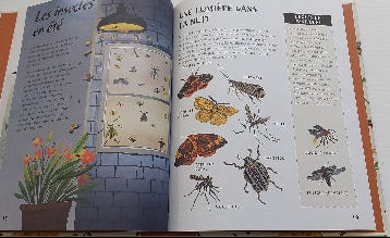 HICKMAN GAVIN : Les Bestioles SCHOLASTIC 9781443177634