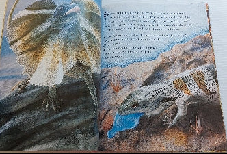 Why Animals Show Off SCHOLASTIC 9780439988612
