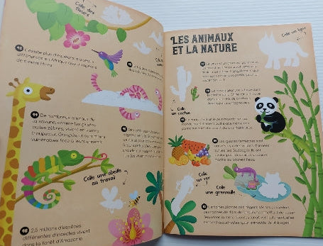 100 choses amusantes sur l'écologie : apprendre et coller YOYO 9789464226027