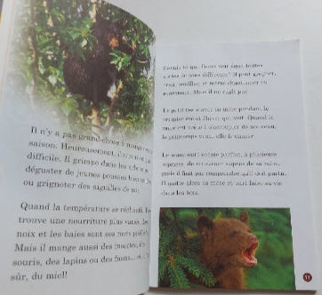 DONALDSON, Chelsea : Animaux des bois, Le Canada vu de près SCHOLASTIC 9780439946780