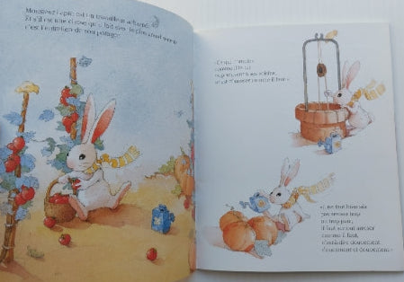 BLAIZOT GRÉBAN : Monsieur Lapin et le Toboggan rouge MIJADE 9782871422860