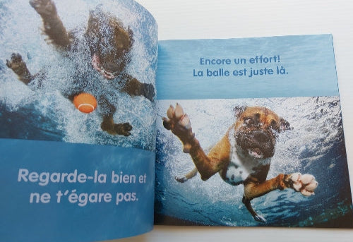 CASTEEL, Seth : À l'eau, les chiens! SCHOLASTIC 9781443136051