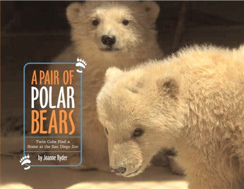 RYDER, Joanne : A Pair of Polar Bears SCHOLASTIC 9780545000741