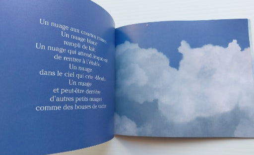 DAVID SOLAL : La tête dans les nuages MIJADE 9782871422297