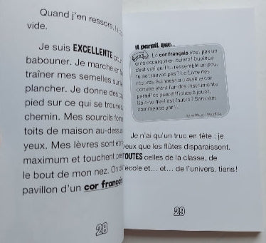 DESCHENEAUX, Nadine : Zut! Des flûtes!, Échos d'école, Z'AILÉES 9782925261391