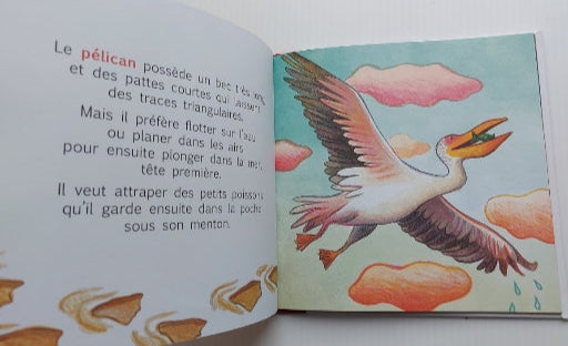 VINTZE MEROLA : Petits pas dans le sable ISATIS 9782898430404