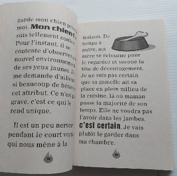 LABONTÉ-CHARTRAND, Martine : Théo et le chien magique, RÉUNIS 9782897830625